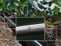 Preview: T-Tape 22mm, Wandstärke 8 mil (0,25mm), Tropferabstand 30 cm, Wasserabgabe je Tropfer 1 l/h, 1695 m/Rolle Typ: T-Tape 708-30-340